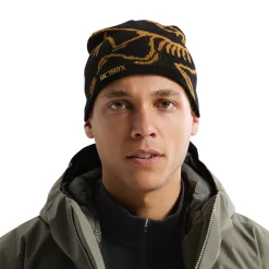 Arc'teryx Bird Head Toque hue (24k Black)