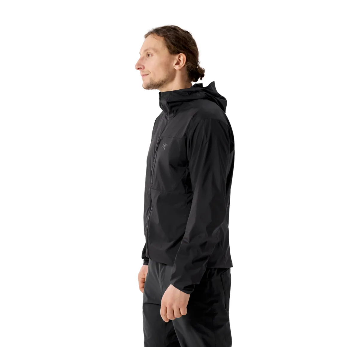 Arc'teryx Squamish Hoody, herre (Black)