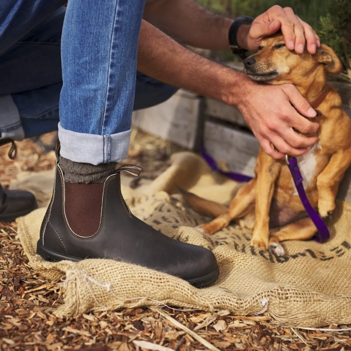 Blundstone 500 Original Chelsea Boot