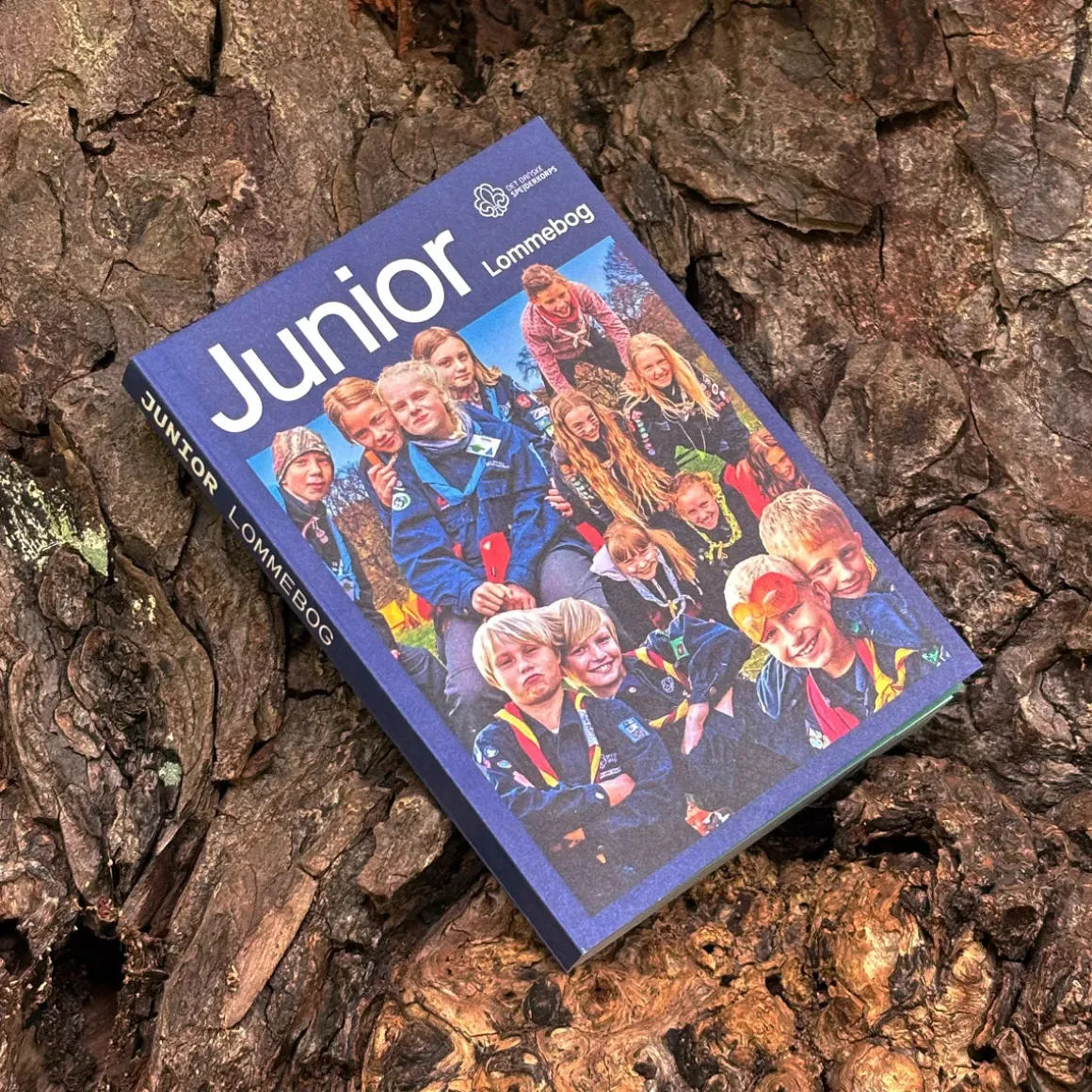 DDS "Junior" Lommebog Stor