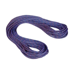 Mammut Crag Sender Dry klatrereb / 9.0mm 60m